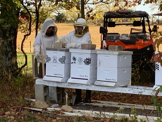 A Guide to Selecting the Right Equipment for First-Time Beekeepers